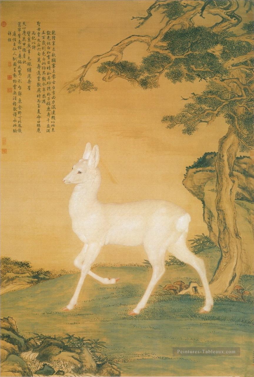 Lang brillant cerf blanc ancienne Chine encre Giuseppe Castiglione cerf Peintures à l'huile